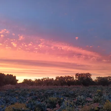 别墅 Casale Eucalipto *