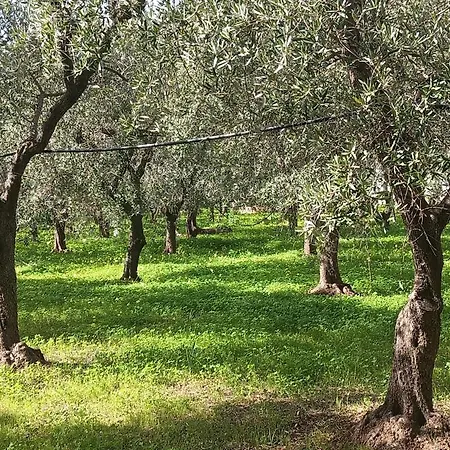 Casale Eucalipto *