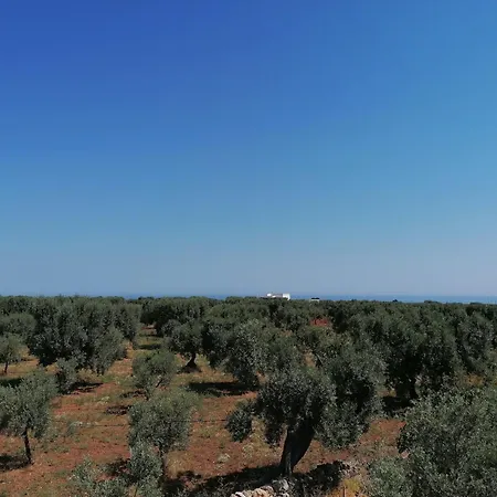 别墅 Casale Eucalipto *