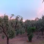 Casale Eucalipto Villa